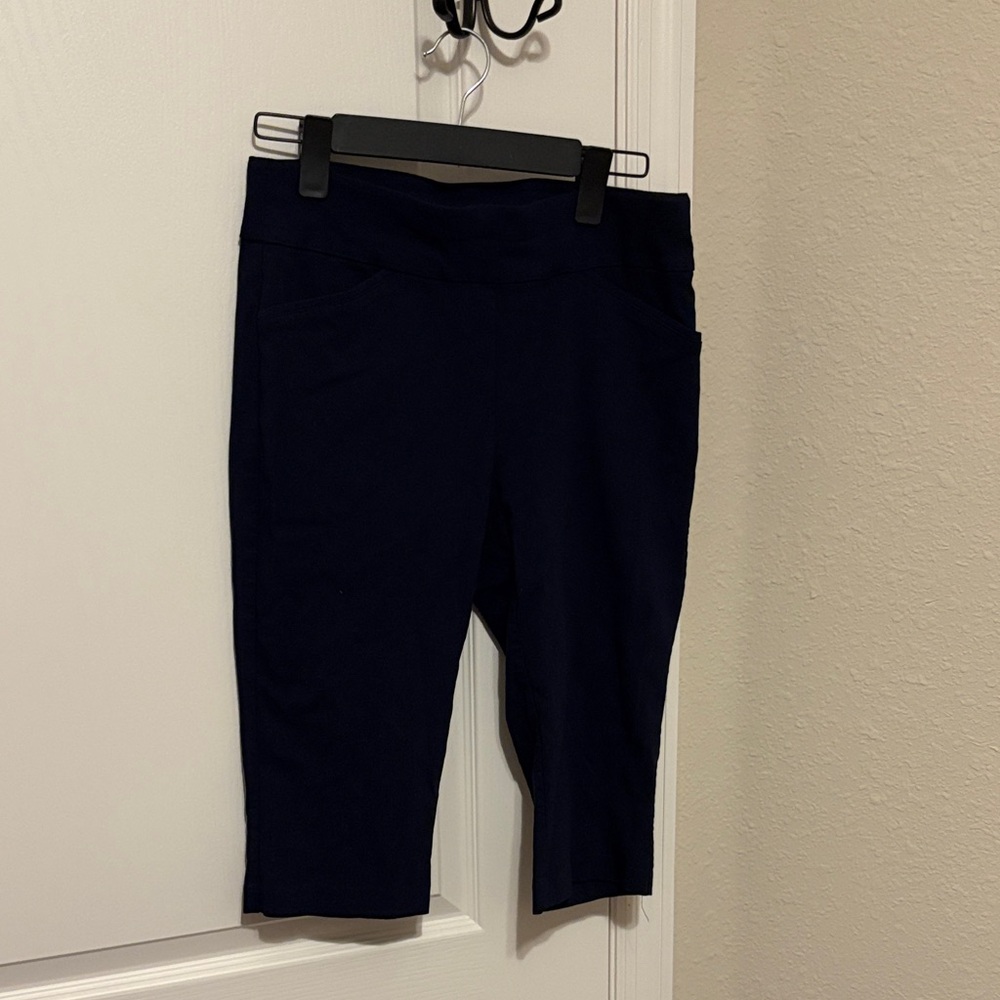 Christopher & Banks Navy Capris